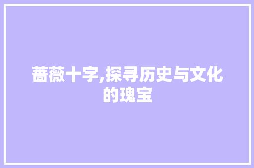 蔷薇十字,探寻历史与文化的瑰宝 古代典籍