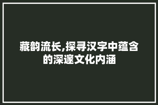 藏韵流长,探寻汉字中蕴含的深邃文化内涵