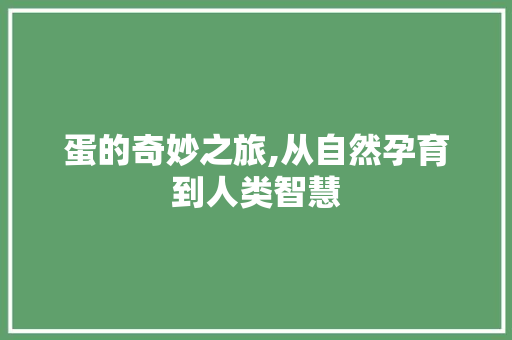 蛋的奇妙之旅,从自然孕育到人类智慧