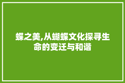 蝶之美,从蝴蝶文化探寻生命的变迁与和谐