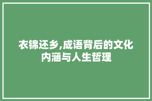 衣锦还乡,成语背后的文化内涵与人生哲理