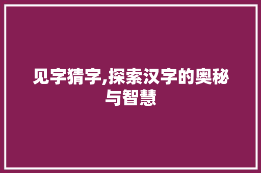 见字猜字,探索汉字的奥秘与智慧 汉字拼音