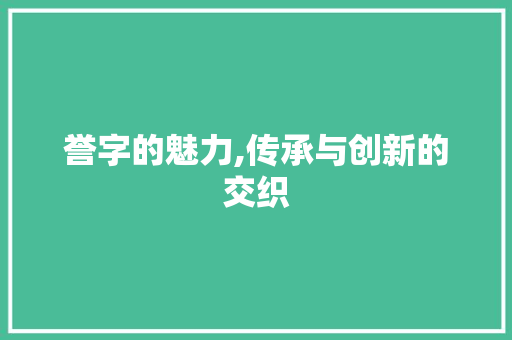 誉字的魅力,传承与创新的交织