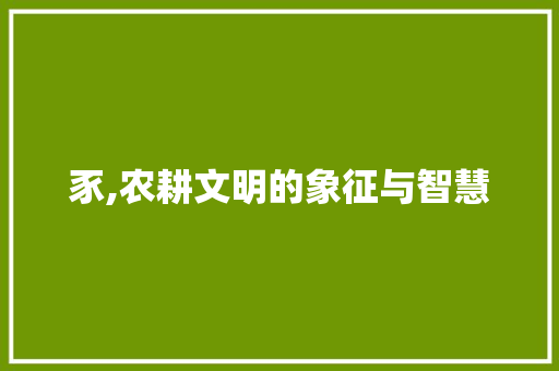 豕,农耕文明的象征与智慧