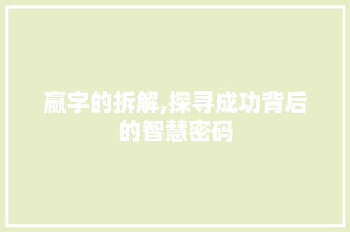 赢字的拆解,探寻成功背后的智慧密码