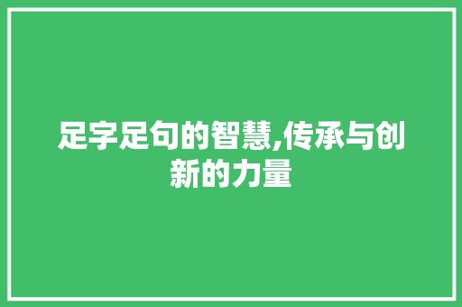 足字足句的智慧,传承与创新的力量