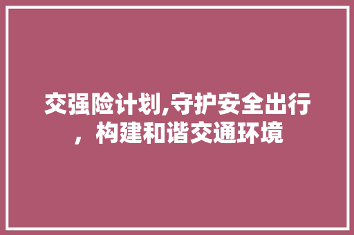 交强险计划,守护安全出行，构建和谐交通环境