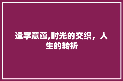 逢字意蕴,时光的交织，人生的转折
