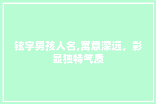 铉字男孩人名,寓意深远，彰显独特气质
