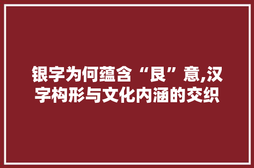 银字为何蕴含“艮”意,汉字构形与文化内涵的交织