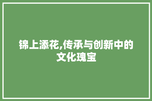 锦上添花,传承与创新中的文化瑰宝