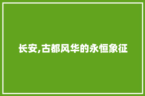长安,古都风华的永恒象征 短语