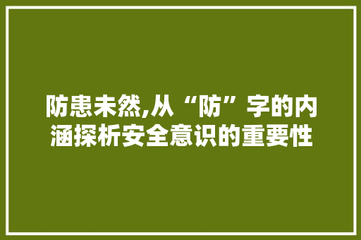 防患未然,从“防”字的内涵探析安全意识的重要性