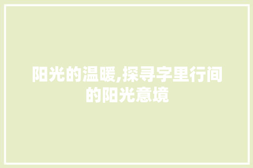 阳光的温暖,探寻字里行间的阳光意境