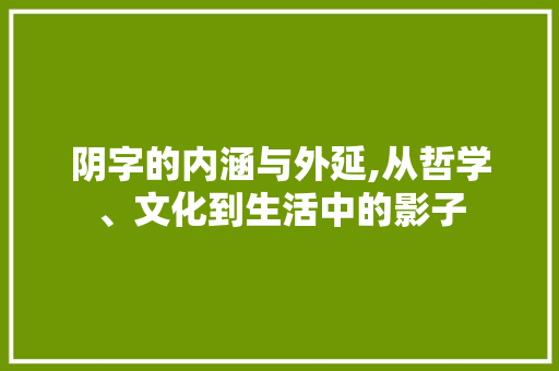 阴字的内涵与外延,从哲学、文化到生活中的影子