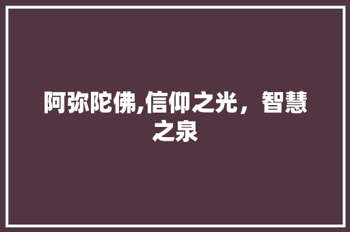阿弥陀佛,信仰之光，智慧之泉