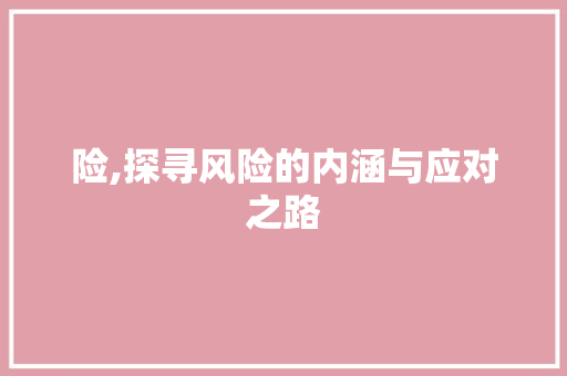 险,探寻风险的内涵与应对之路