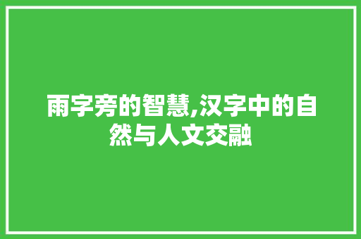 雨字旁的智慧,汉字中的自然与人文交融