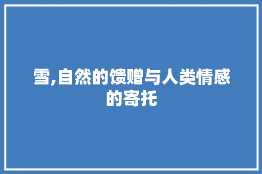 雪,自然的馈赠与人类情感的寄托