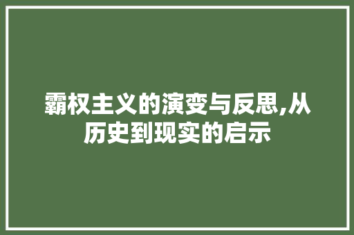 霸权主义的演变与反思,从历史到现实的启示