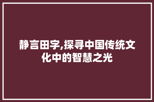 静言田字,探寻中国传统文化中的智慧之光