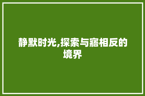 静默时光,探索与寤相反的境界