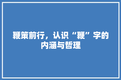 鞭策前行，认识“鞭”字的内涵与哲理