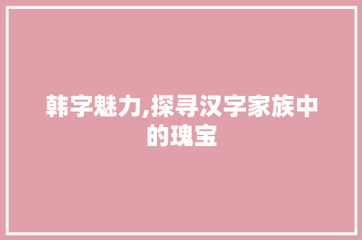 韩字魅力,探寻汉字家族中的瑰宝