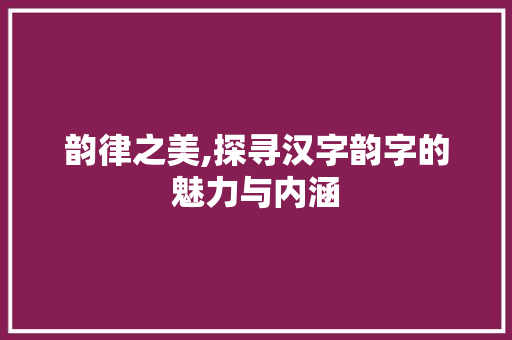 韵律之美,探寻汉字韵字的魅力与内涵