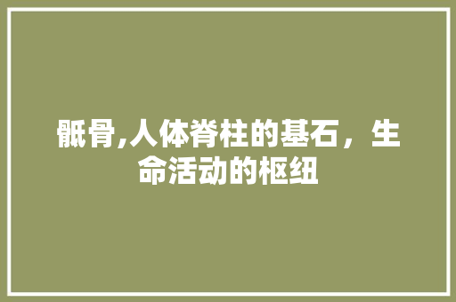 骶骨,人体脊柱的基石，生命活动的枢纽