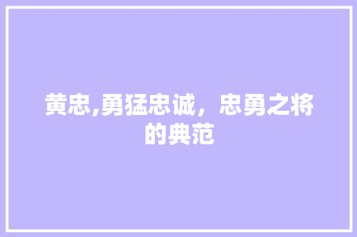 黄忠,勇猛忠诚，忠勇之将的典范 英语单词