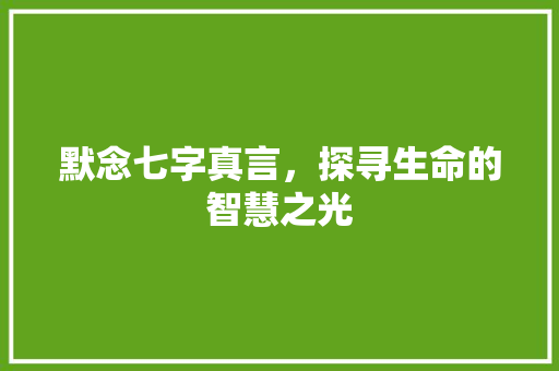 默念七字真言，探寻生命的智慧之光