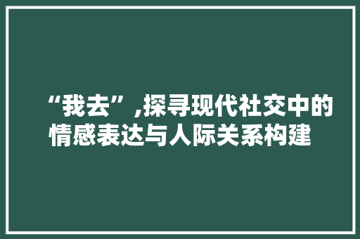 “我去”,探寻现代社交中的情感表达与人际关系构建