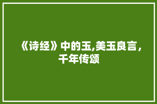 《诗经》中的玉,美玉良言，千年传颂