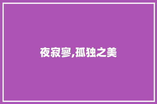 夜寂寥,孤独之美