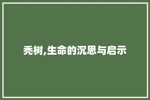 秃树,生命的沉思与启示