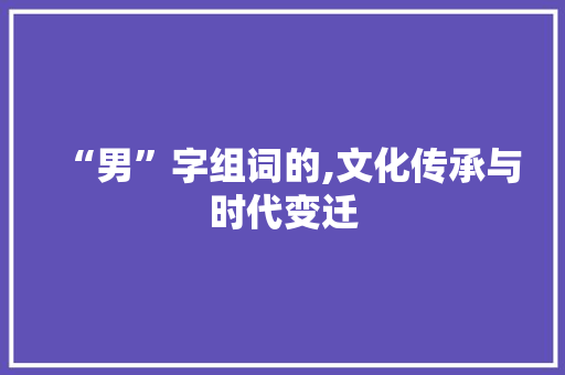 “男”字组词的,文化传承与时代变迁 英语单词