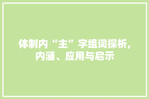 体制内“主”字组词探析,内涵、应用与启示