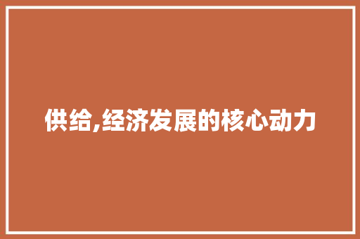 供给,经济发展的核心动力