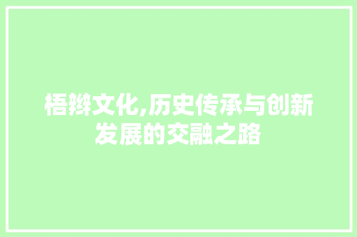 梧辫文化,历史传承与创新发展的交融之路