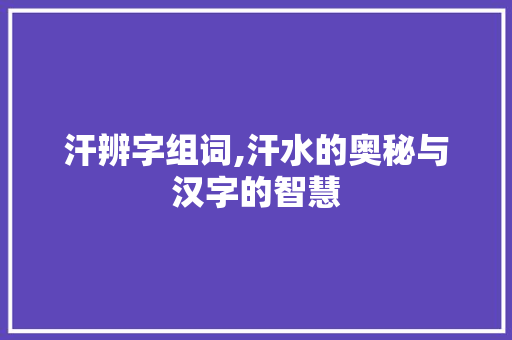 汗辨字组词,汗水的奥秘与汉字的智慧