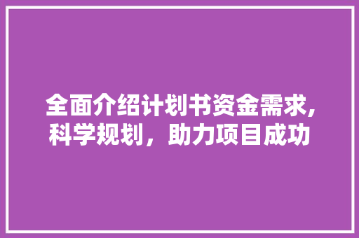 全面介绍计划书资金需求,科学规划，助力项目成功