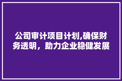 公司审计项目计划,确保财务透明，助力企业稳健发展