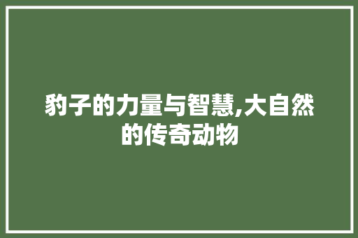 豹子的力量与智慧,大自然的传奇动物