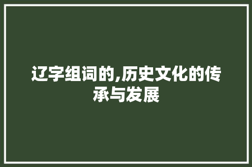 辽字组词的,历史文化的传承与发展