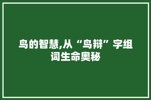 鸟的智慧,从“鸟辩”字组词生命奥秘