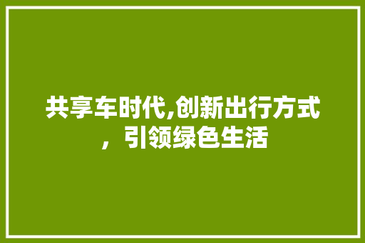 共享车时代,创新出行方式，引领绿色生活