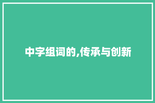 中字组词的,传承与创新