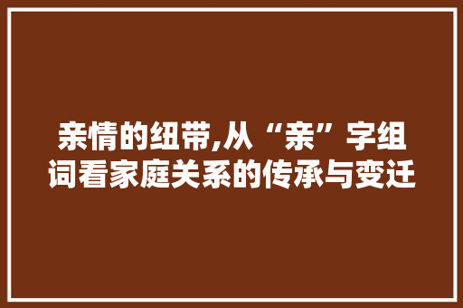 亲情的纽带,从“亲”字组词看家庭关系的传承与变迁