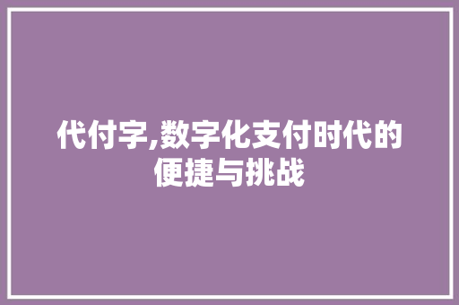 代付字,数字化支付时代的便捷与挑战